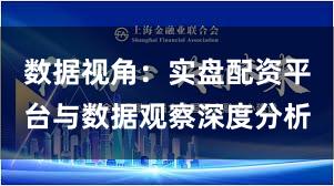 数据视角：实盘配资平台与数据观察深度分析